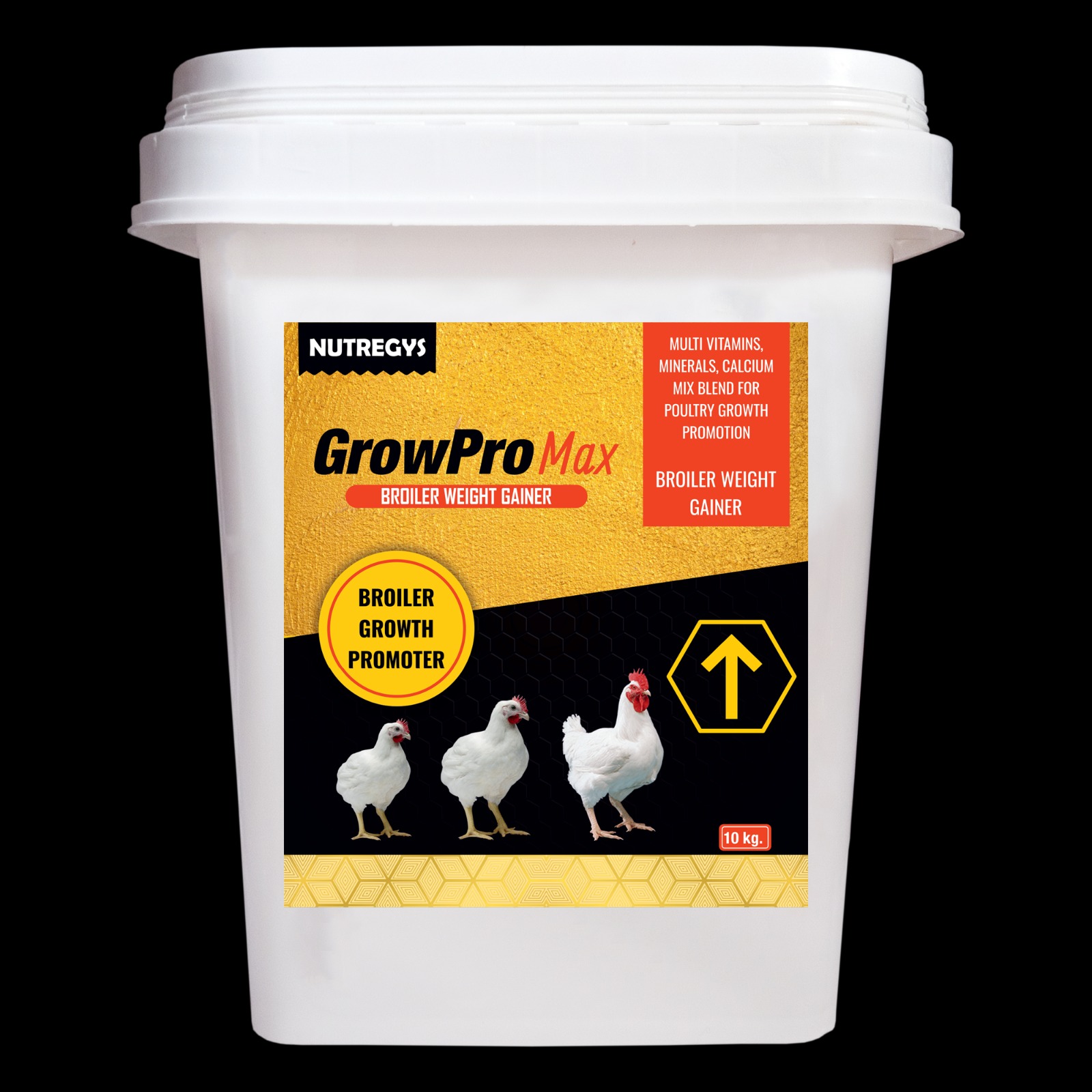 WhatsApp Image 2025-05-09 at 10.59.24 AM (1).jpeg